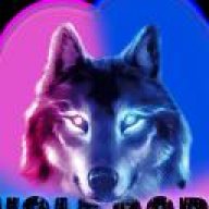 WolfCode292